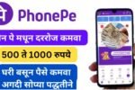 Phone Pe Personal Loan